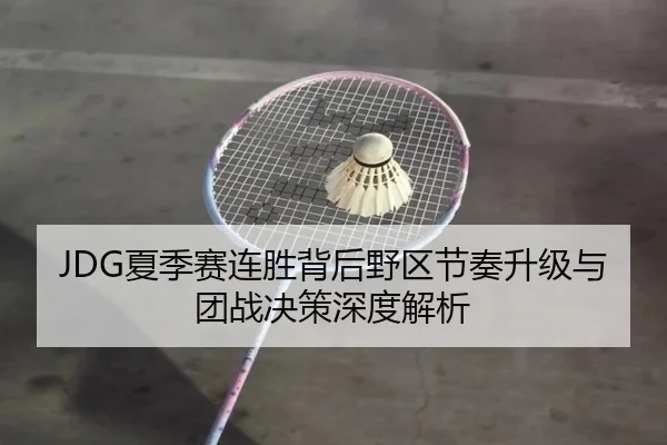 JDG夏季赛连胜背后野区节奏升级与团战决策深度解析