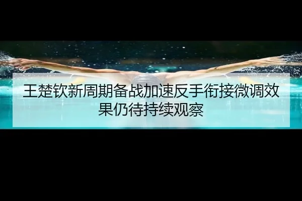 王楚钦新周期备战加速反手衔接微调效果仍待持续观察